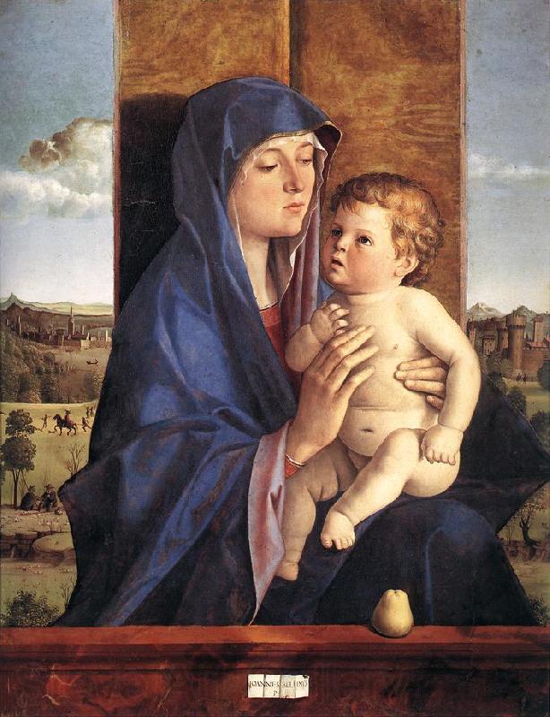 BELLINI, Giovanni Madonna and Child  257 Spain oil painting art
